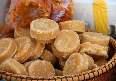 cambodia-siemreap-sugar-palm